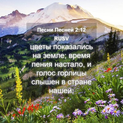 Picture 04 - Песни Песней 2:12 RUSV - цветы показались на земле; - Bible Verse Picture