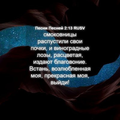 Picture 04 - Песни Песней 2:13 RUSV - смоковницы распустили - Bible Verse Picture