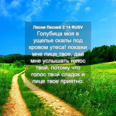Picture 04 - Песни Песней 2:14 RUSV - Голубица моя в ущелье - Bible Verse Picture