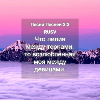 Picture 04 - Песни Песней 2:2 RUSV - Что лилия между тернами, то - Bible Verse Picture