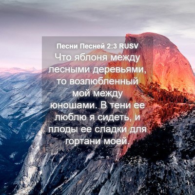 Picture 04 - Песни Песней 2:3 RUSV - Что яблоня между лесными - Bible Verse Picture
