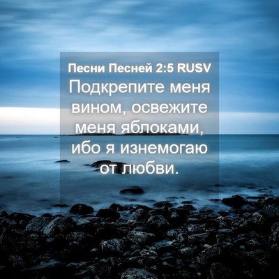 Picture 04 - Песни Песней 2:5 RUSV - Подкрепите меня вином, - Bible Verse Picture