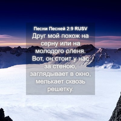 Picture 04 - Песни Песней 2:9 RUSV - Друг мой похож на серну или - Bible Verse Picture