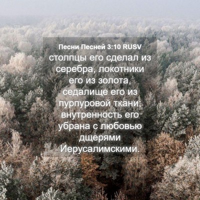 Picture 04 - Песни Песней 3:10 RUSV - столпцы его сделал из - Bible Verse Picture