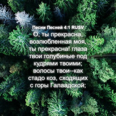 Picture 04 - Песни Песней 4:1 RUSV - О, ты прекрасна, - Bible Verse Picture