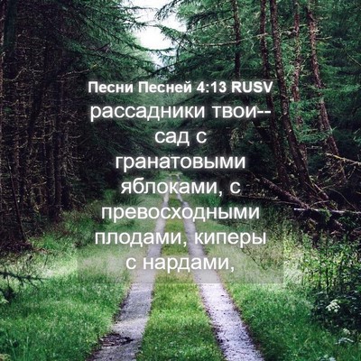Picture 04 - Песни Песней 4:13 RUSV - рассадники твои--сад с - Bible Verse Picture