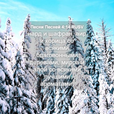 Picture 04 - Песни Песней 4:14 RUSV - нард и шафран, аир и корица - Bible Verse Picture
