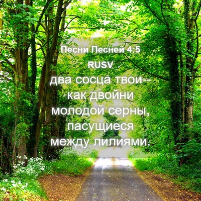 Picture 04 - Песни Песней 4:5 RUSV - два сосца твои--как двойни - Bible Verse Picture