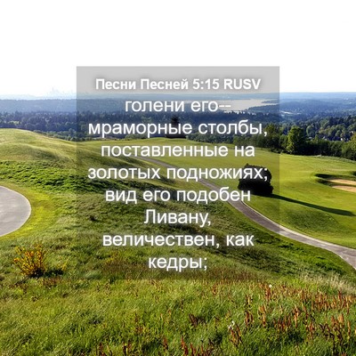 Picture 04 - Песни Песней 5:15 RUSV - голени его--мраморные - Bible Verse Picture