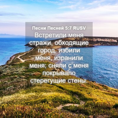 Picture 04 - Песни Песней 5:7 RUSV - Встретили меня стражи, - Bible Verse Picture
