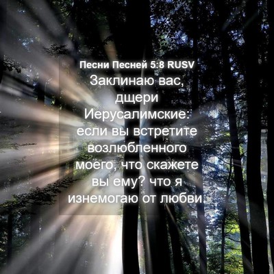 Picture 04 - Песни Песней 5:8 RUSV - Заклинаю вас, дщери - Bible Verse Picture
