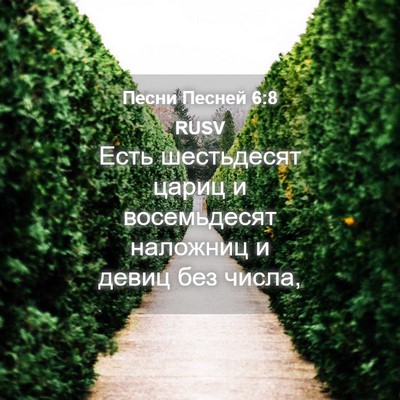 Picture 04 - Песни Песней 6:8 RUSV - Есть шестьдесят цариц и - Bible Verse Picture