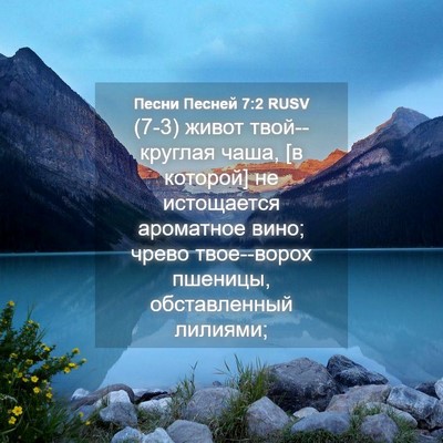 Picture 04 - Песни Песней 7:2 RUSV - (7-3) живот твой--круглая - Bible Verse Picture