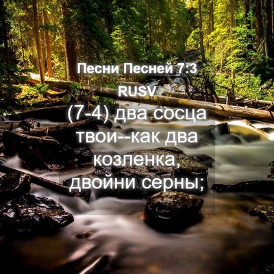 Picture 04 - Песни Песней 7:3 RUSV - (7-4) два сосца твои--как два - Bible Verse Picture