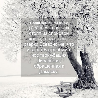 Picture 04 - Песни Песней 7:4 RUSV - (7-5) шея твоя--как столп из - Bible Verse Picture