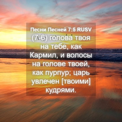 Picture 04 - Песни Песней 7:5 RUSV - (7-6) голова твоя на тебе, как - Bible Verse Picture