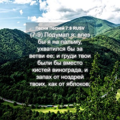Picture 04 - Песни Песней 7:8 RUSV - (7-9) Подумал я: влез бы я на - Bible Verse Picture