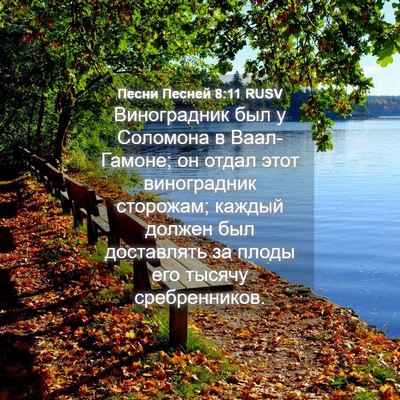 Picture 04 - Песни Песней 8:11 RUSV - Виноградник был у Соломона - Bible Verse Picture