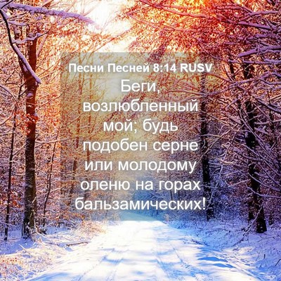 Picture 04 - Песни Песней 8:14 RUSV - Беги, возлюбленный мой; - Bible Verse Picture