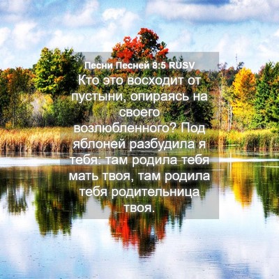 Picture 04 - Песни Песней 8:5 RUSV - Кто это восходит от - Bible Verse Picture