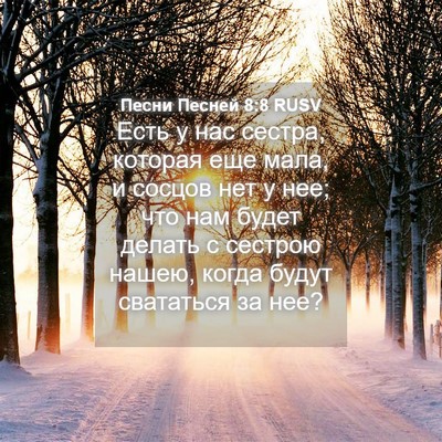 Picture 04 - Песни Песней 8:8 RUSV - Есть у нас сестра, которая - Bible Verse Picture