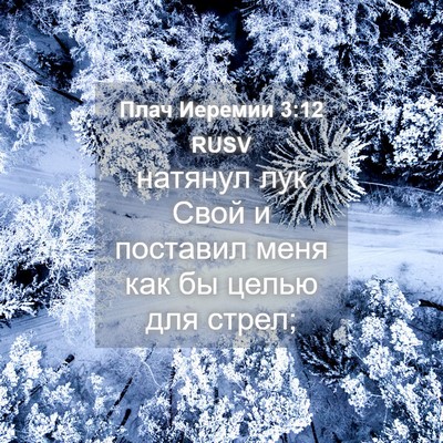 Picture 04 - Плач Иеремии 3:12 RUSV - натянул лук Свой и - Bible Verse Picture
