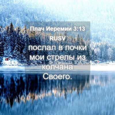 Picture 04 - Плач Иеремии 3:13 RUSV - послал в почки мои стрелы - Bible Verse Picture