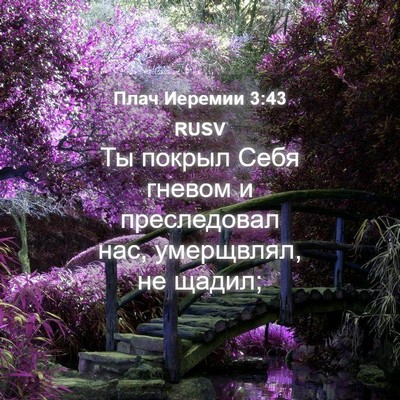 Picture 04 - Плач Иеремии 3:43 RUSV - Ты покрыл Себя гневом и - Bible Verse Picture
