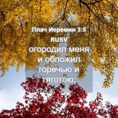 Picture 04 - Плач Иеремии 3:5 RUSV - огородил меня и обложил - Bible Verse Picture