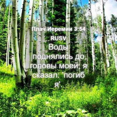 Picture 04 - Плач Иеремии 3:54 RUSV - Воды поднялись до головы - Bible Verse Picture