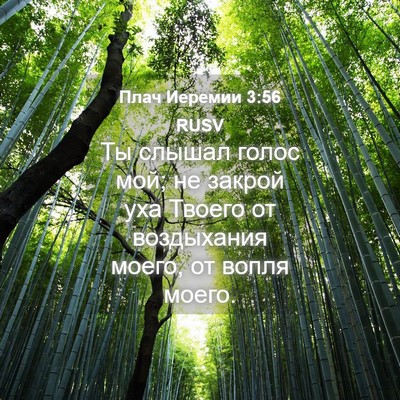 Picture 04 - Плач Иеремии 3:56 RUSV - Ты слышал голос мой; не - Bible Verse Picture