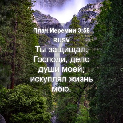 Picture 04 - Плач Иеремии 3:58 RUSV - Ты защищал, Господи, дело - Bible Verse Picture