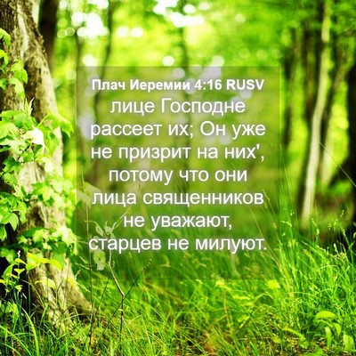 Picture 04 - Плач Иеремии 4:16 RUSV - лице Господне рассеет их; - Bible Verse Picture