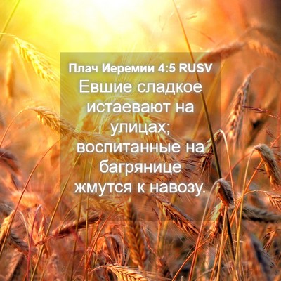 Picture 04 - Плач Иеремии 4:5 RUSV - Евшие сладкое истаевают на - Bible Verse Picture