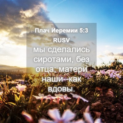 Picture 04 - Плач Иеремии 5:3 RUSV - мы сделались сиротами, без - Bible Verse Picture