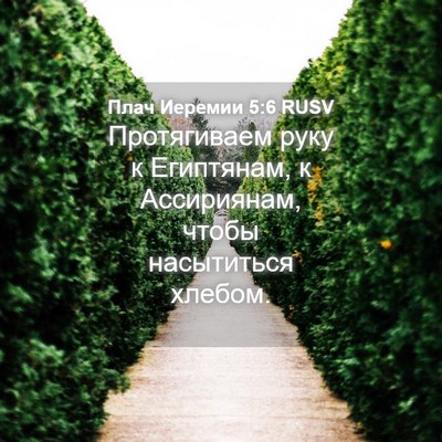 Picture 04 - Плач Иеремии 5:6 RUSV - Протягиваем руку к - Bible Verse Picture
