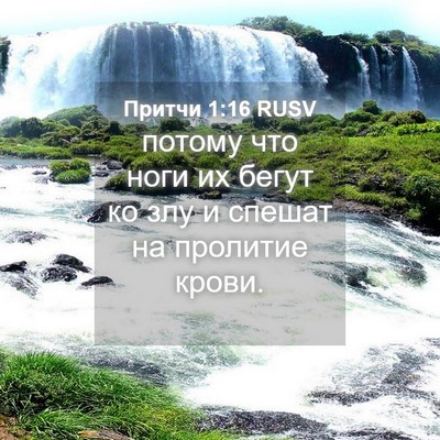 Picture 04 - Притчи 1:16 RUSV - потому что ноги их бегут ко - Bible Verse Picture
