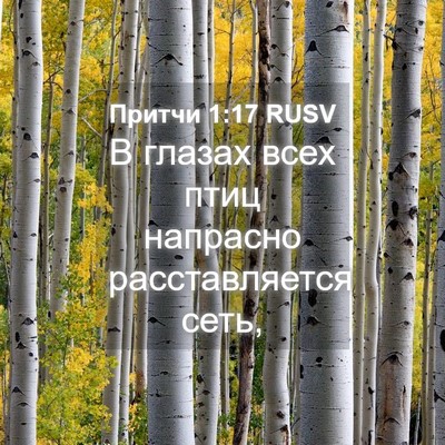 Picture 04 - Притчи 1:17 RUSV - В глазах всех птиц - Bible Verse Picture
