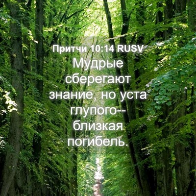 Picture 04 - Притчи 10:14 RUSV - Мудрые сберегают знание, - Bible Verse Picture