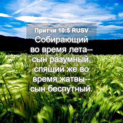 Picture 04 - Притчи 10:5 RUSV - Собирающий во время - Bible Verse Picture