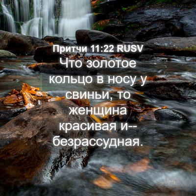 Picture 04 - Притчи 11:22 RUSV - Что золотое кольцо в носу у - Bible Verse Picture