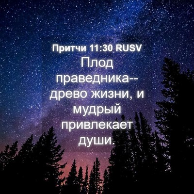 Picture 04 - Притчи 11:30 RUSV - Плод праведника--древо - Bible Verse Picture