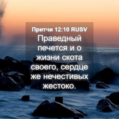 Picture 04 - Притчи 12:10 RUSV - Праведный печется и о - Bible Verse Picture