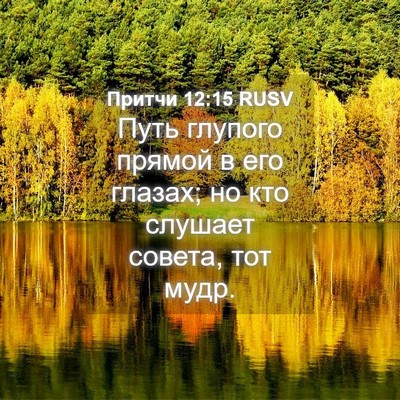 Picture 04 - Притчи 12:15 RUSV - Путь глупого прямой в его - Bible Verse Picture