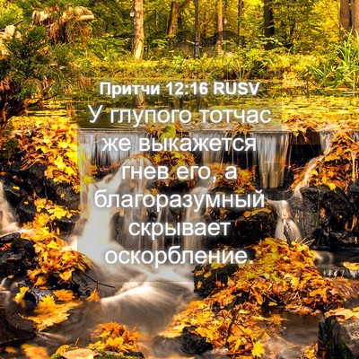 Picture 04 - Притчи 12:16 RUSV - У глупого тотчас же - Bible Verse Picture