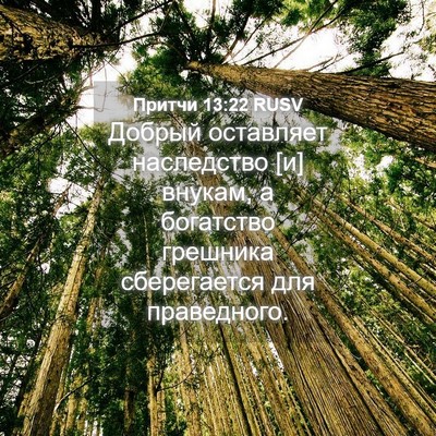 Picture 04 - Притчи 13:22 RUSV - Добрый оставляет - Bible Verse Picture