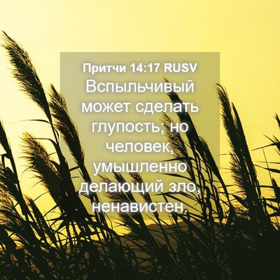 Picture 04 - Притчи 14:17 RUSV - Вспыльчивый может сделать - Bible Verse Picture