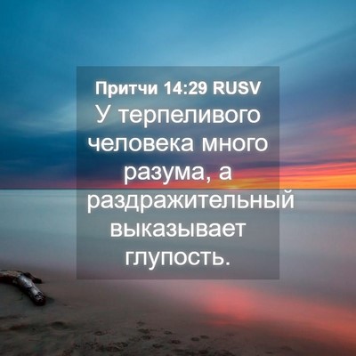 Picture 04 - Притчи 14:29 RUSV - У терпеливого человека - Bible Verse Picture