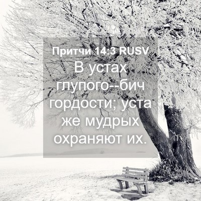 Picture 04 - Притчи 14:3 RUSV - В устах глупого--бич - Bible Verse Picture