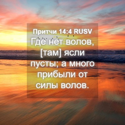 Picture 04 - Притчи 14:4 RUSV - Где нет волов, [там] ясли - Bible Verse Picture